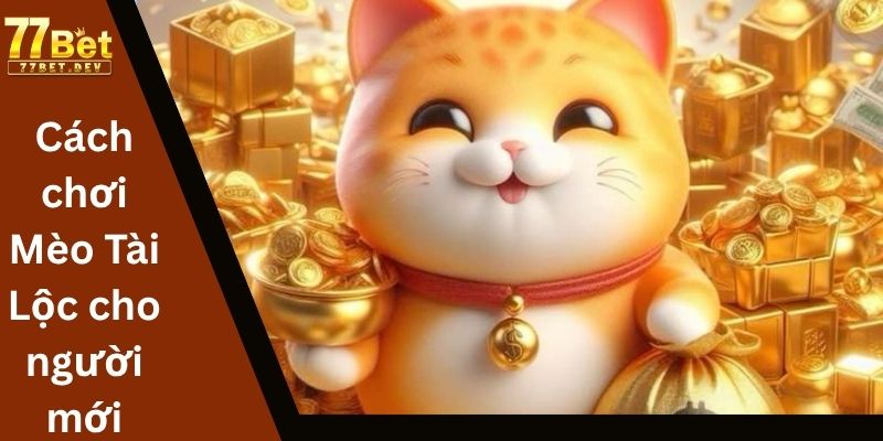 Cách chơi Mèo Tài Lộc cho người mới
