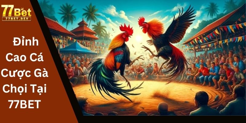 Đỉnh Cao Cá Cược Gà Chọi Tại 77BET