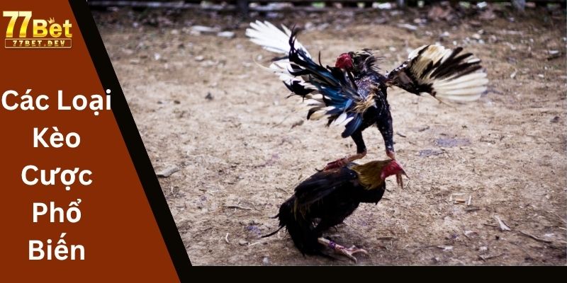 Các Loại Kèo Cược Phổ Biến